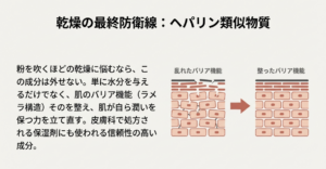 乱れた肌のバリア機能（ラメラ構造）をヘパリン類似物質が整え、自ら潤う力を立て直す様子を描いたビジュアル図解。