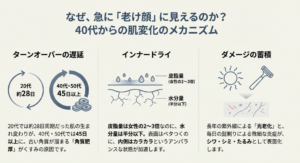 20代と40代・50代のターンオーバー周期の違い（28日対45日以上）と、インナードライや紫外線ダメージ蓄積の図解。